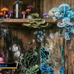 Cara Menghilangkan Jamur pada Lemari Kayu