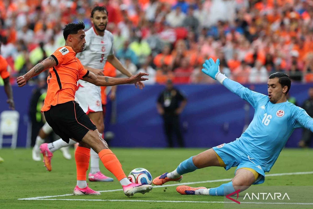 Belanda memuncaki Grup F setelah mengalahkan Tunisia 3-1