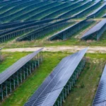 Hamm, Germany: Inside the Record-Breaking Solar Project Putting This Overlooked City on the Map