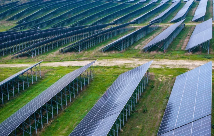 Hamm, Germany: Inside the Record-Breaking Solar Project Putting This Overlooked City on the Map