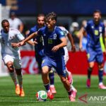 Sergei Barbarez bangga dengan prestasi Bosnia
