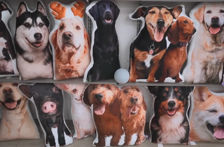 All About Vibe: How a Pillow Shaped Like a Dog Became a $60 Million Business