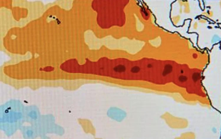 Prakiraan Super El Niño 2026: Apa yang Akan Terjadi dan Bagaimana Mempersiapkannya